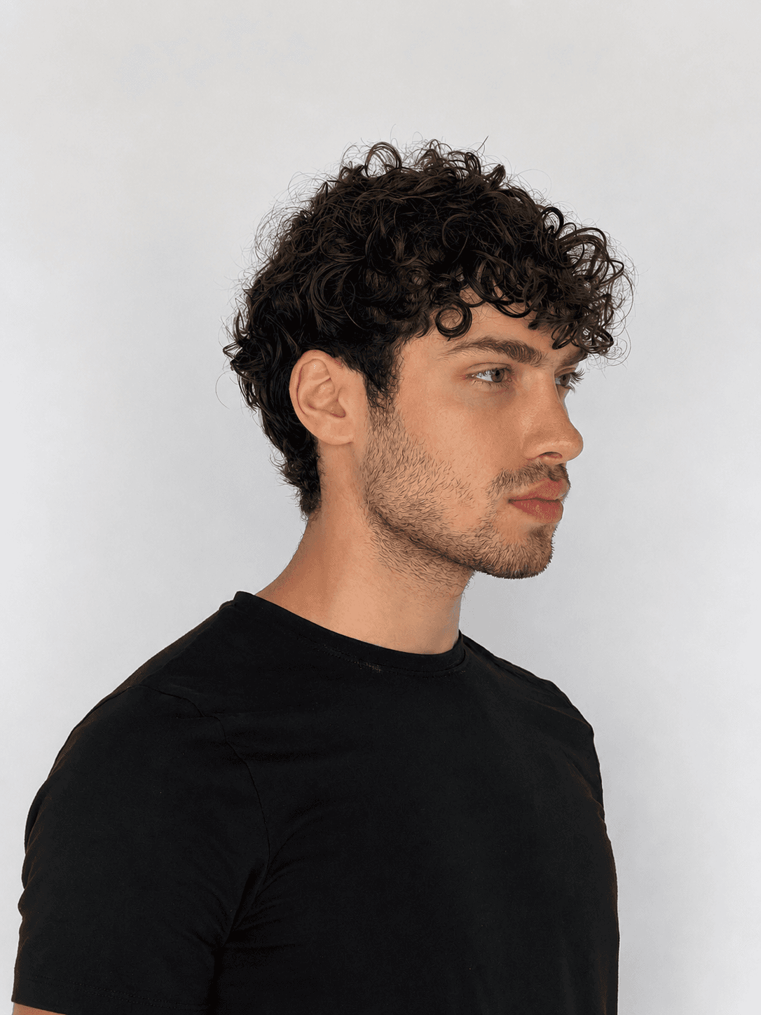 Arion, portfolio image, AG Models