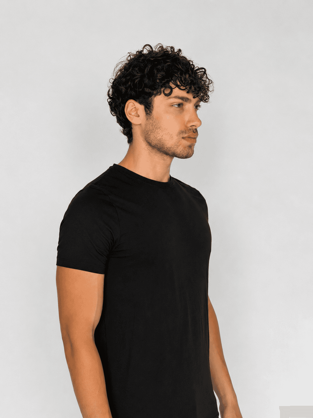 Arion, portfolio image, AG Models