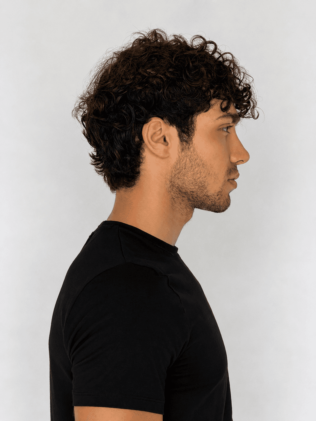 Arion, portfolio image, AG Models