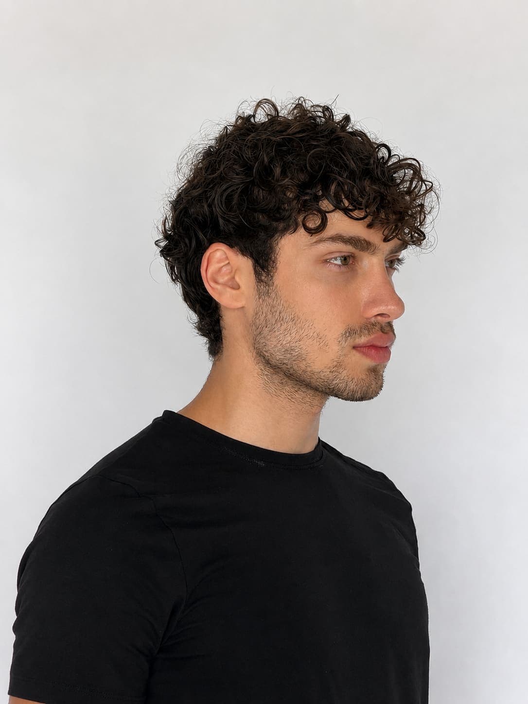 Arion, portfolio image, AG Models